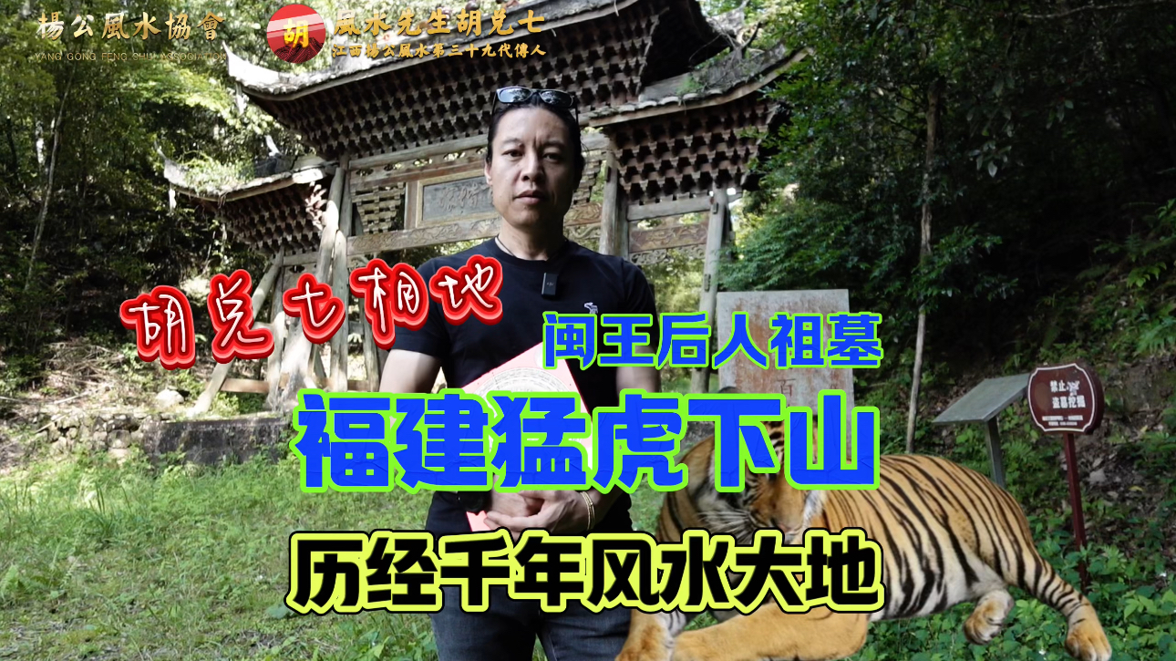 【VPN观看】胡兑七“福建王姓祖墓风水详解”，白虎转案和王字来龙大帐，从中窥探宋代风水地师的技术秘密，值得收藏的风水学习经典案例