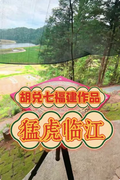 【VPN观看】胡兑七“福建阴宅风水作品猛虎临江”，此地来龙主脉，大帐开出猛虎形，水口圆印出子孙大富大贵 