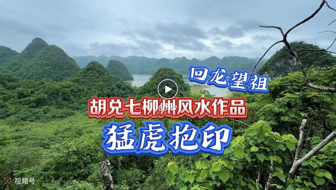胡兑七广西柳州风水阴宅作品“猛虎抱印”，此地用作福主生基风水之用，回龙望祖逆收江水做结