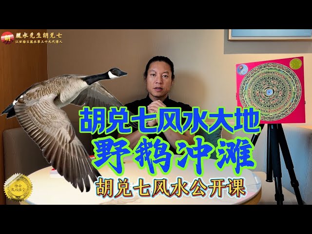 【VPN观看】儿孙富贵需要这样的祖坟风水，胡兑七分享福建一块风水大地“野鹅冲滩”，胡兑七的风水公开了