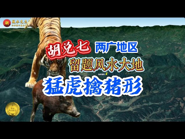 【VPN观看】“儿孙做二品大员位极人臣”，胡兑七留题两广风水大地猛虎擒猪，葬中正穴要杀猪出煞