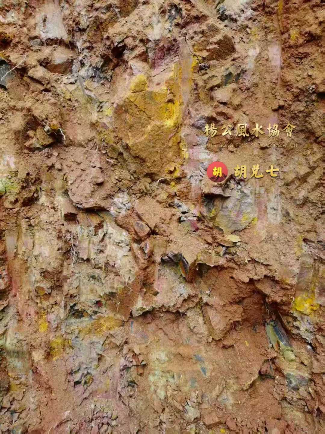 胡兑七先生在江西赣州，为福主安放生基地“野鹅冲滩形”，开工大吉，开出穴土欣赏
