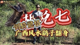 南宁寻龙实录：从“鹞子翻身”看倒骑龙格的三个关键