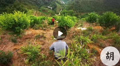 廣西某地陰宅風水