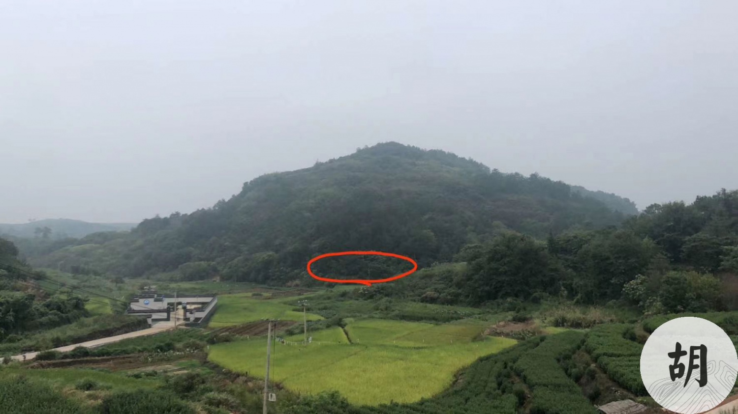 為紹興市一位客戶尋龍點穴，擇取一處陰宅風水寶地
