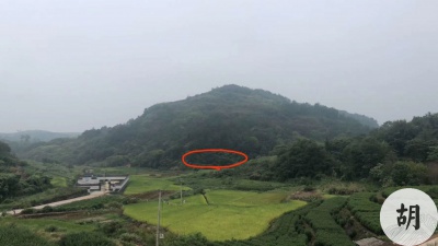 為紹興市一位客戶尋龍點穴，擇取一處陰宅風水寶地