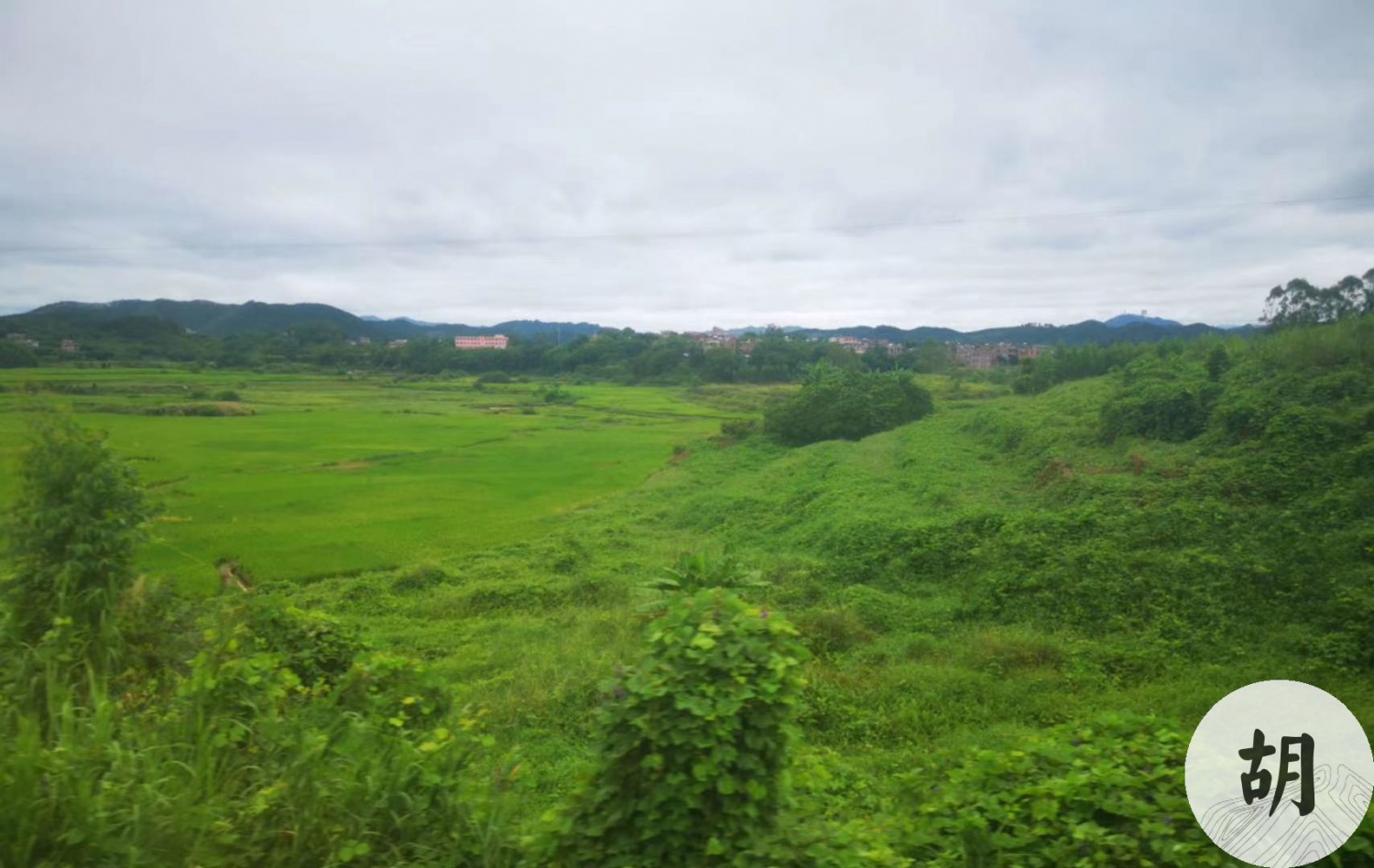 在江西為客戶點到一處風水寶地，用作安葬祖先