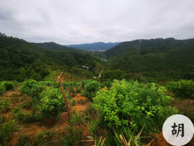 廣西天獅嶺留題大地點取