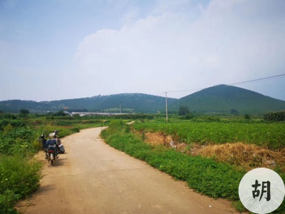 山東某地喝形小獅子地，為客戶點出正穴做陰宅