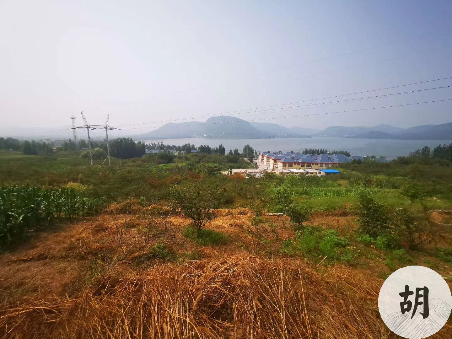 山東某地點一處獅子地