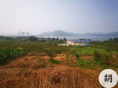 山東某地點一處獅子地