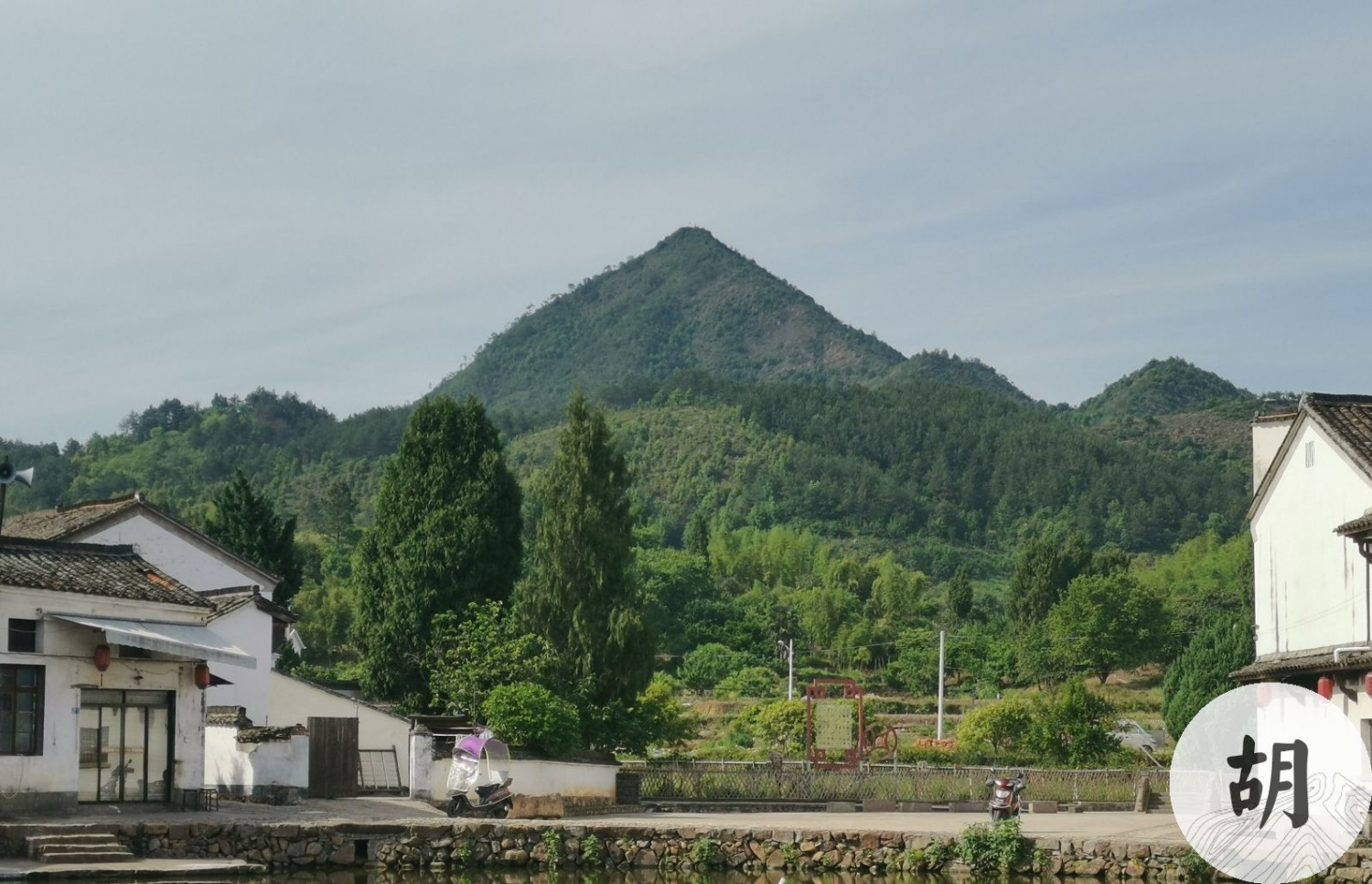 在江苏做一处风水阴宅，喝形“金钟地”，此地贵在进行正出一脉，穴位在图中