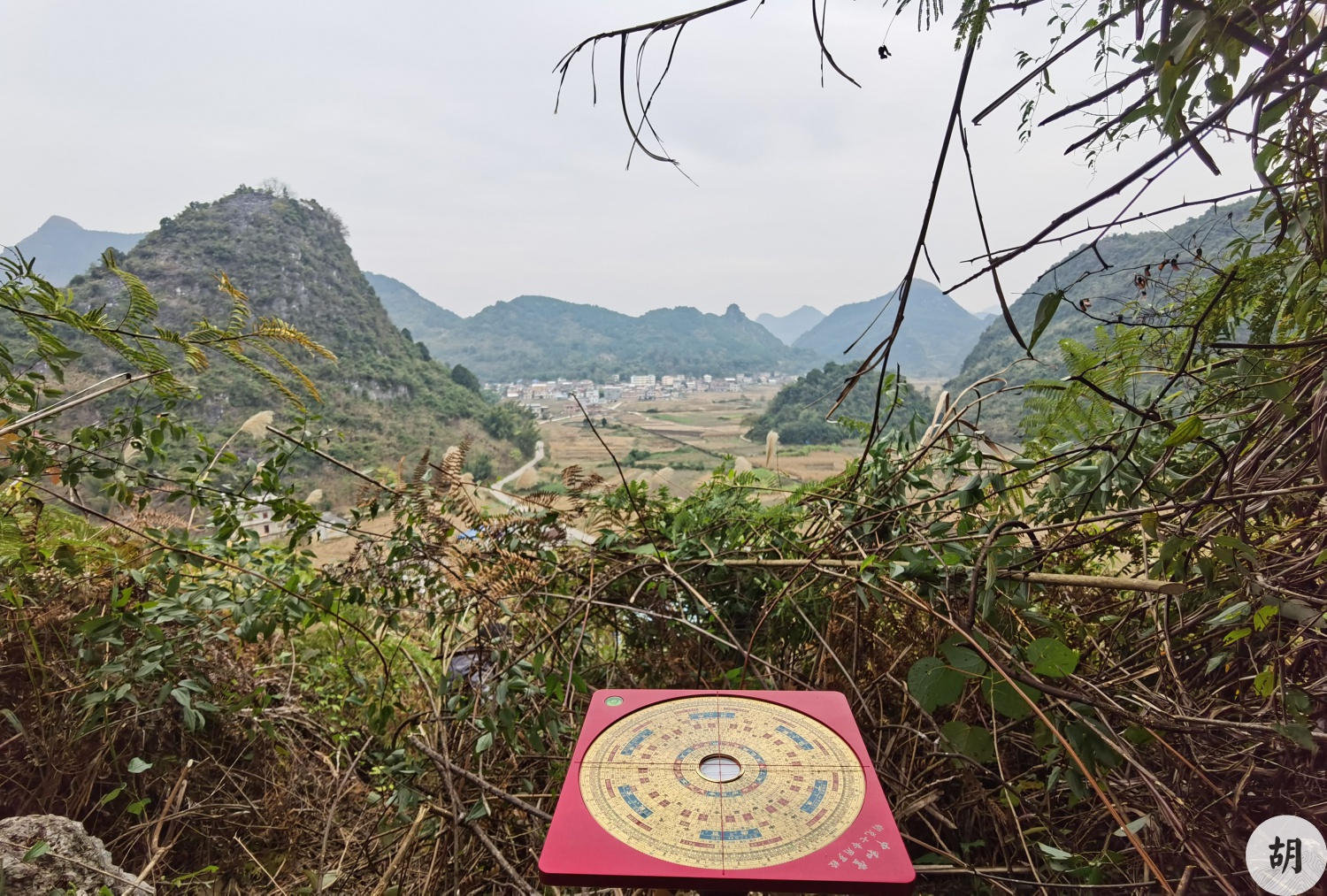 在广西河池点地，喝形鲤鱼跃龙门，客户东家有福气，先生有眼力，此地贵气十足