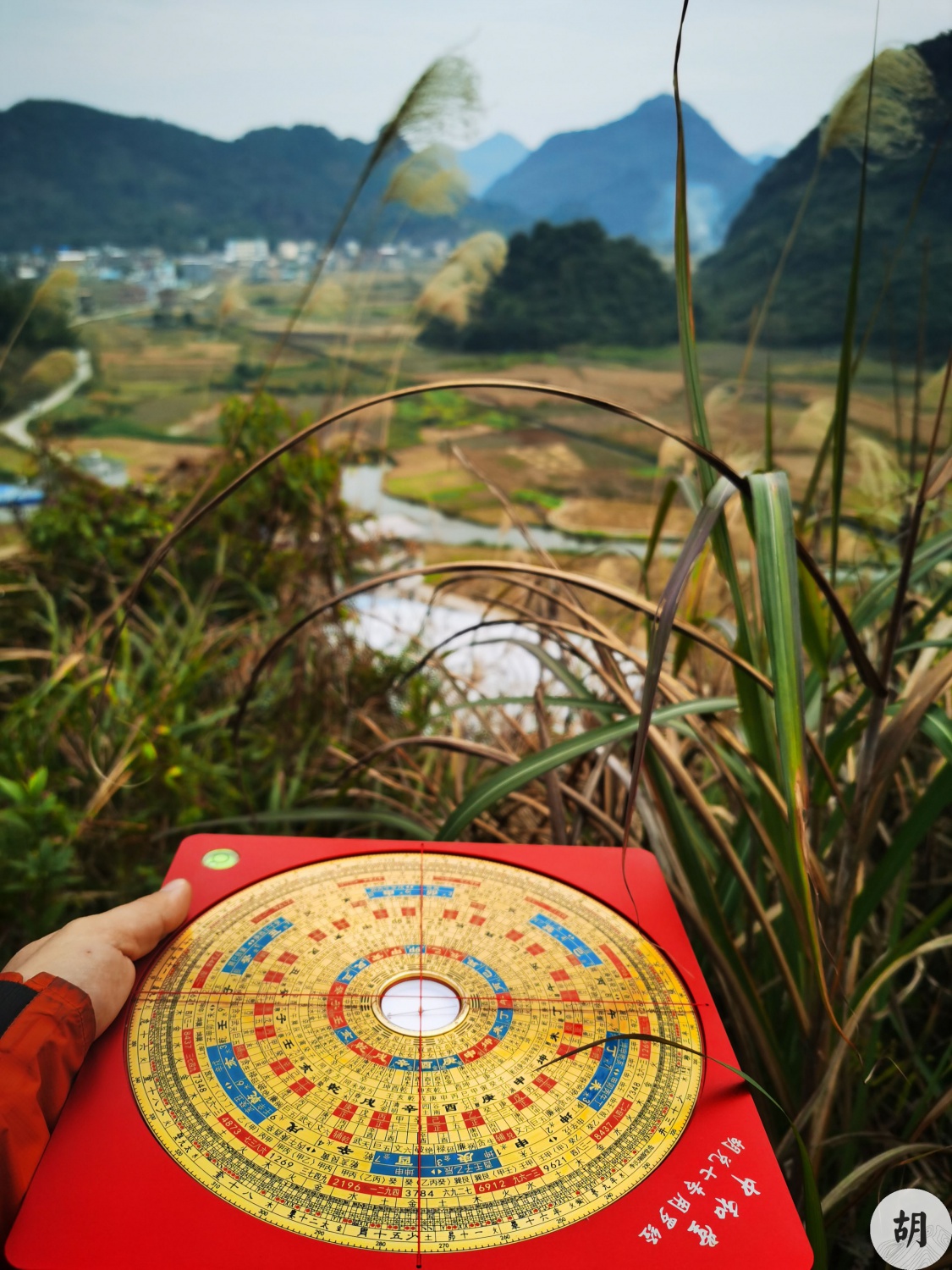 在广西河池点地，喝形鲤鱼跃龙门，客户东家有福气，先生有眼力，此地贵气十足