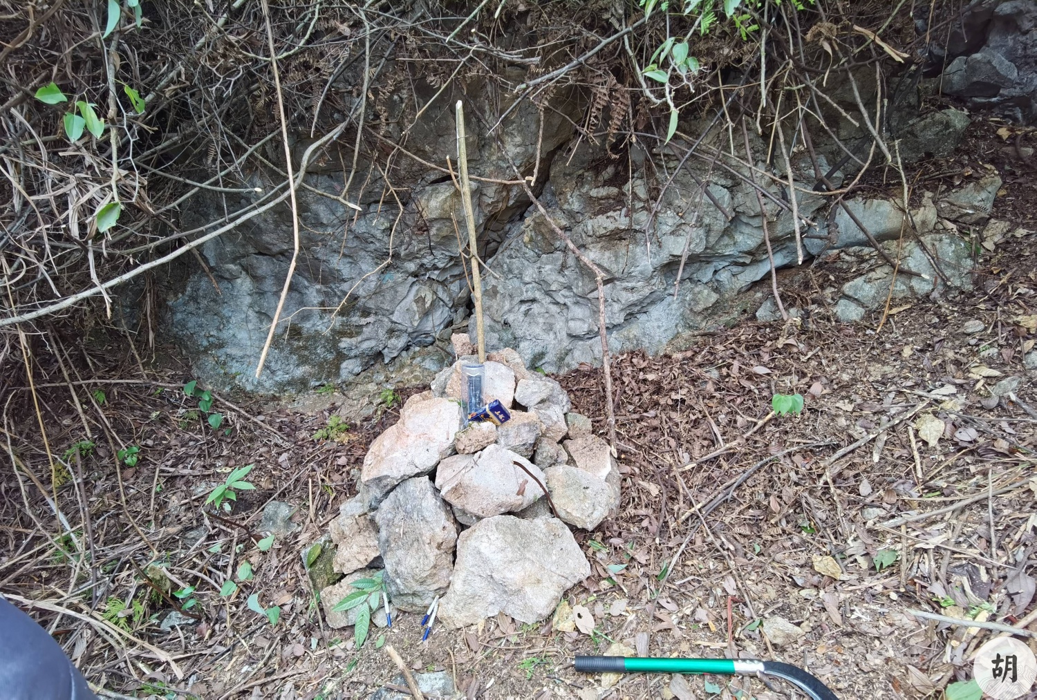 在广西河池点地，喝形鲤鱼跃龙门，客户东家有福气，先生有眼力，此地贵气十足