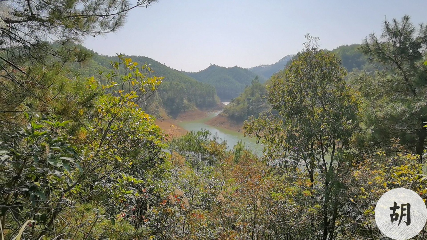 在廣西南寧為客戶點地，做生基，尋到一塊寶地，喝形飛鳥地，三水來朝，放文庫消水