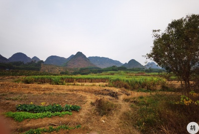 在廣西南寧找到一處風水寶地，喝形大鵬展翅，此地貴氣十足，文筆貴人其中興