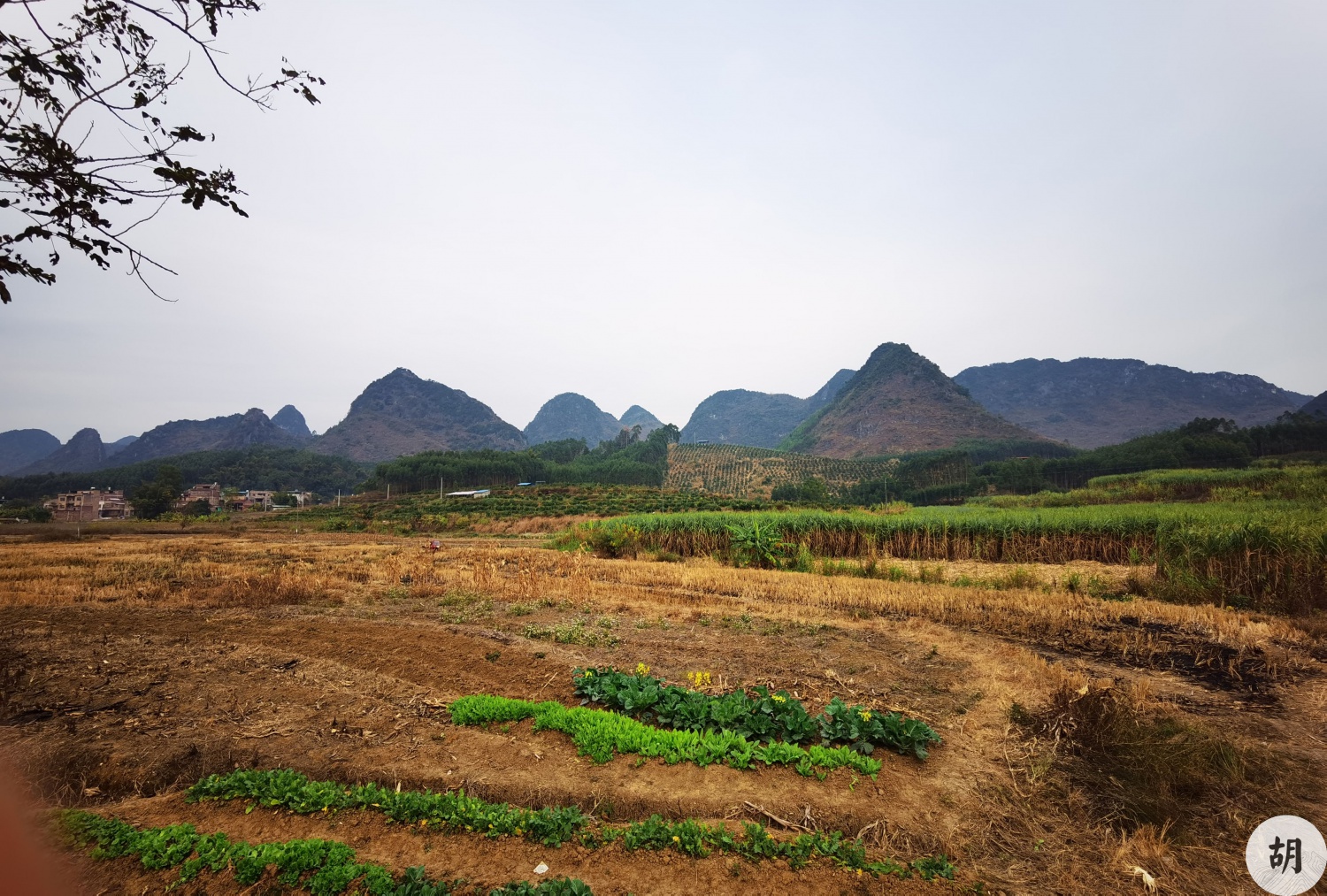 在廣西南寧找到一處風水寶地，喝形大鵬展翅，此地貴氣十足，文筆貴人其中興