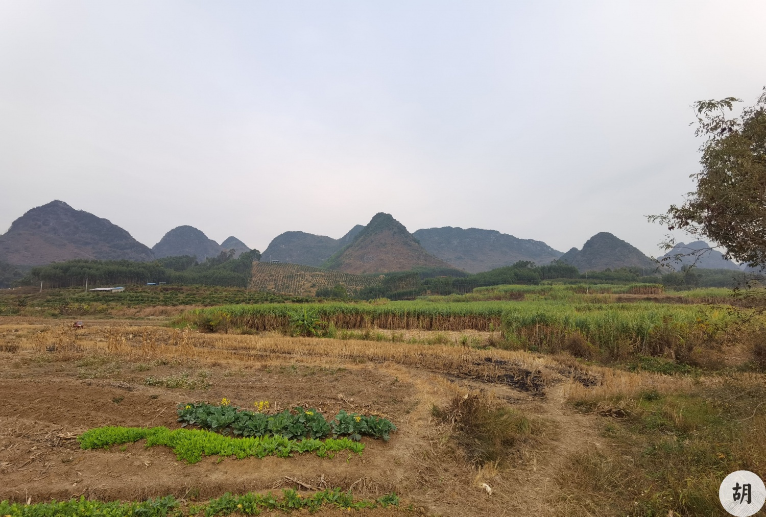 在廣西南寧找到一處風水寶地，喝形大鵬展翅，此地貴氣十足，文筆貴人其中興