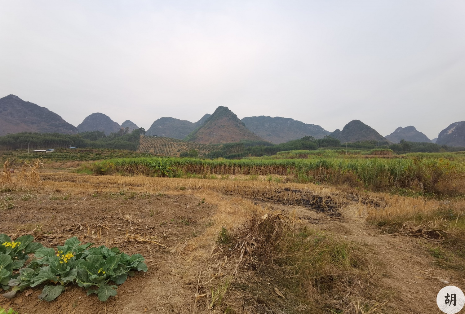 在廣西南寧找到一處風水寶地，喝形大鵬展翅，此地貴氣十足，文筆貴人其中興