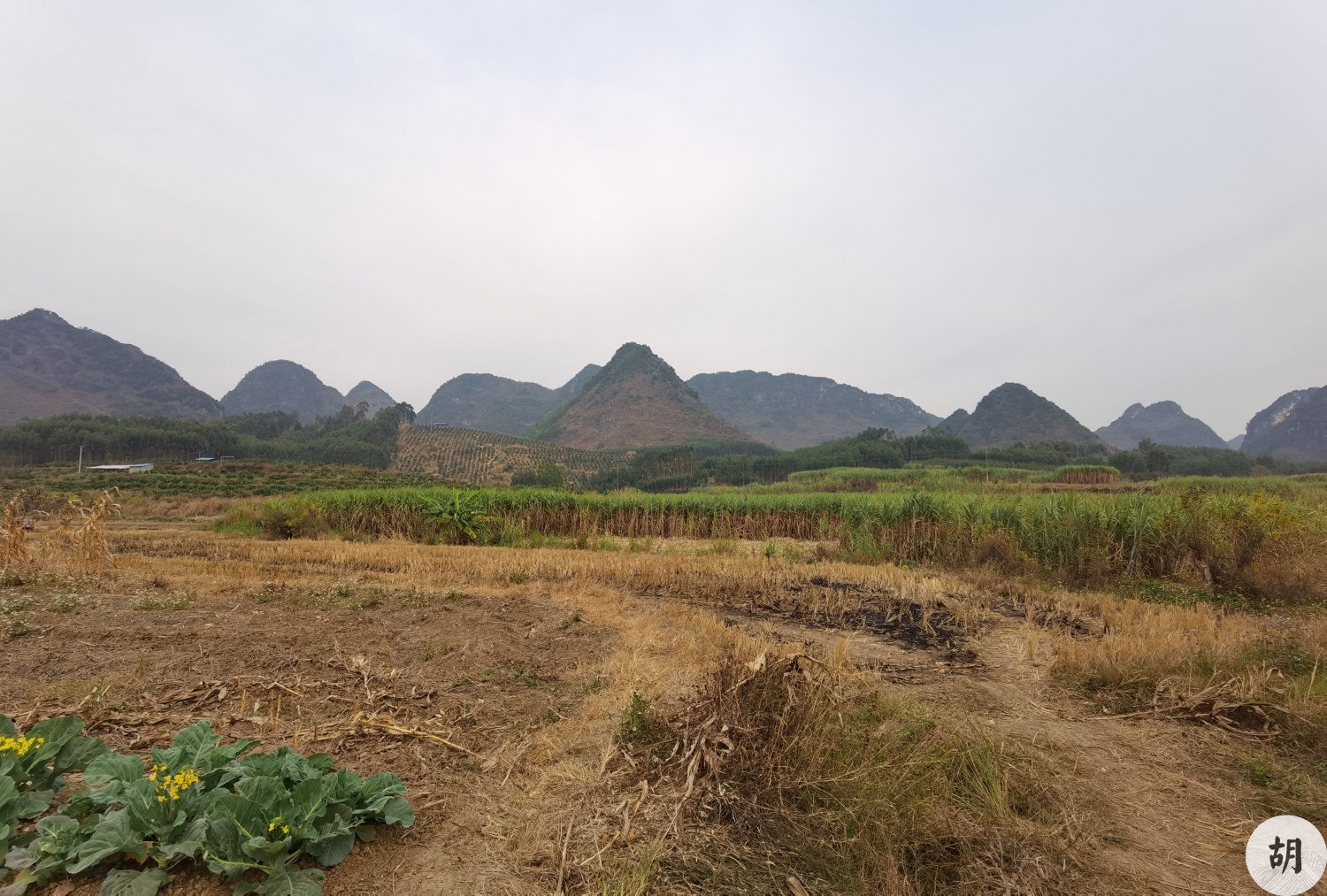 在廣西南寧找到一處風水寶地，喝形大鵬展翅，此地貴氣十足，文筆貴人其中興