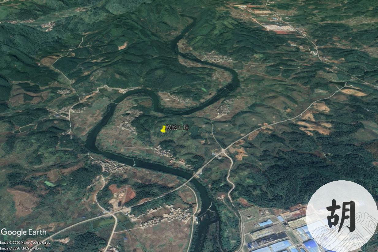 这片地我喝形蜈蚣吐珠，此地来龙若隐若现，不断剥换过峡跌断，金星连绵，如同一只栩栩如生的蜈蚣