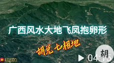 广西风水大地，飞凤抱卵，胡兑七先生喝形，福主尚未结缘