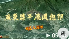 广东飞凤抱卵，胡兑七留题喝形