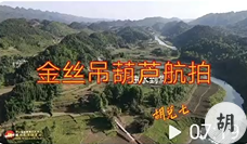 贵州金丝吊葫芦现场点穴，胡兑七喝形，此地出巨富