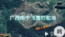 南宁飞鹰打蛇，出大富大贵之人，胡兑七喝形，未结缘