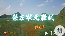 广西崇左天子地，出文武状元，胡兑七现场点穴解说