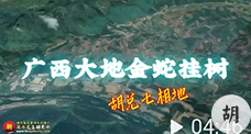 广西大地金蛇挂树形，胡兑七留题喝形，未结缘