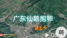 广东省天鹅抱卵地，胡兑七喝形留题，未结缘