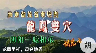 未结缘，广东茂名地界，胡兑七喝形龙凤双穴