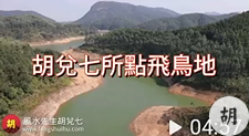 胡仙南宁点飞鸟地现场