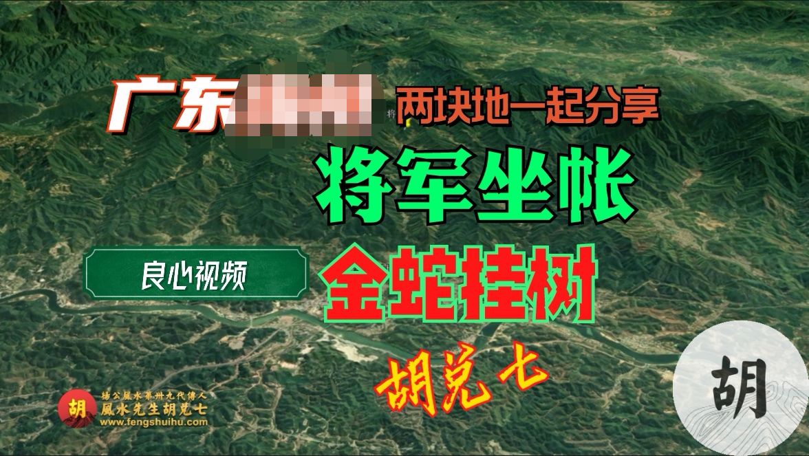 （关VPN后观看）将军坐帐和金蛇挂树