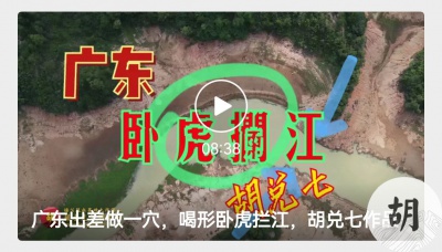 胡仙广东作品卧虎拦江