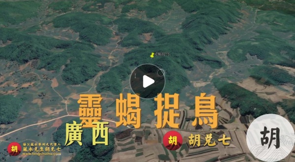 广西为客户点蝎子地