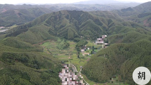 胡兑七作品：喝形下山老虎地，广东福主