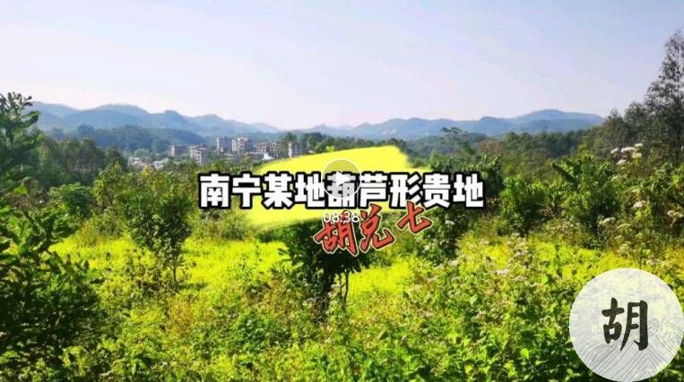 胡兑七喝形南宁某处葫芦地，带您现场寻龙点穴