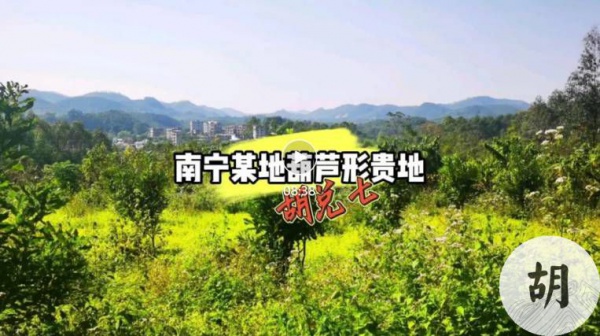 胡兑七喝形南宁某处葫芦地，带您现场寻龙点穴