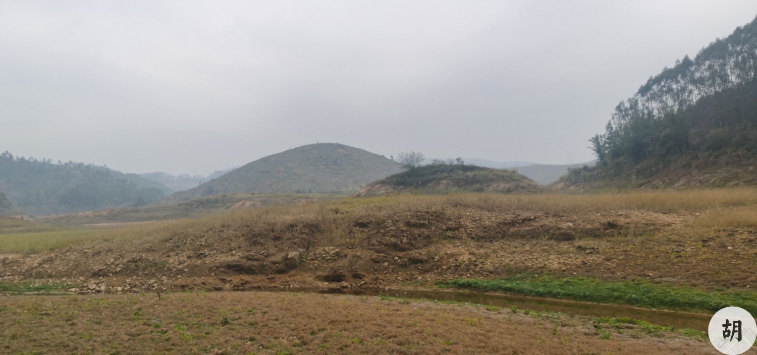 在南宁为客户点一块生基地，带徒弟上山实习