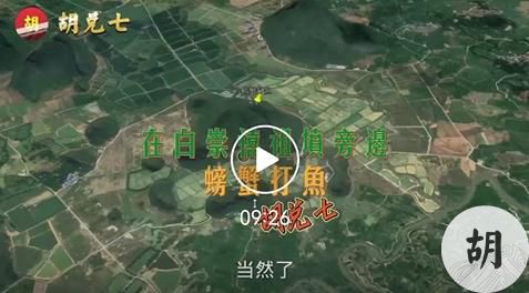 白崇禧祖坟风水分析