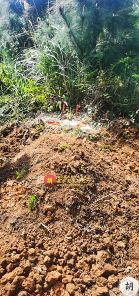 为福主在广西做生基，福主妻子身患大病，望做生基以延寿增福