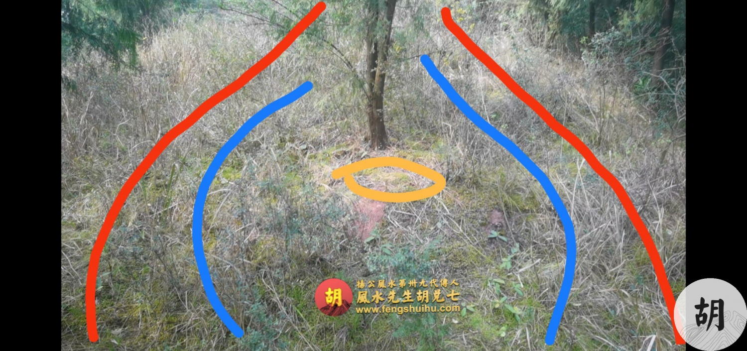 在四川泸州为客户点一穴，喝形将军坐帐地，出一品武贵之后人
