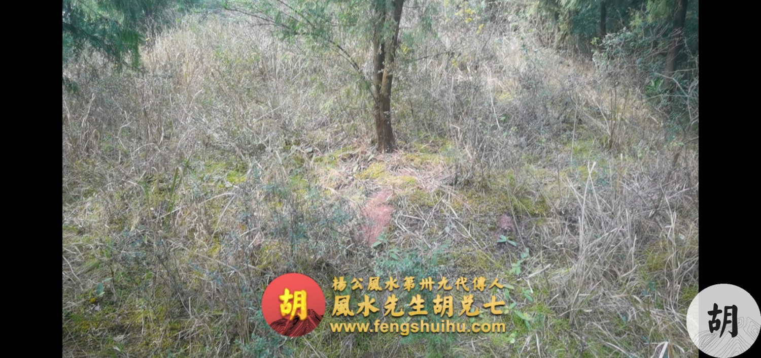 在四川泸州为客户点一穴，喝形将军坐帐地，出一品武贵之后人