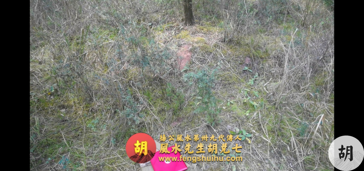 在四川泸州为客户点一穴，喝形将军坐帐地，出一品武贵之后人