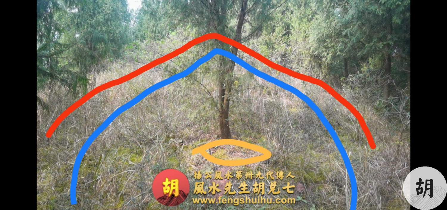 在四川泸州为客户点一穴，喝形将军坐帐地，出一品武贵之后人