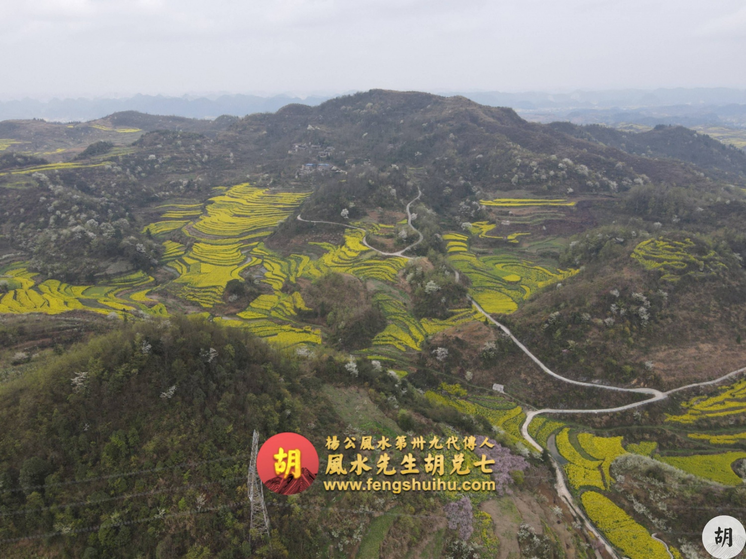 为广东福主在贵州异地点穴，喝形凤凰跳架，出大贵之人