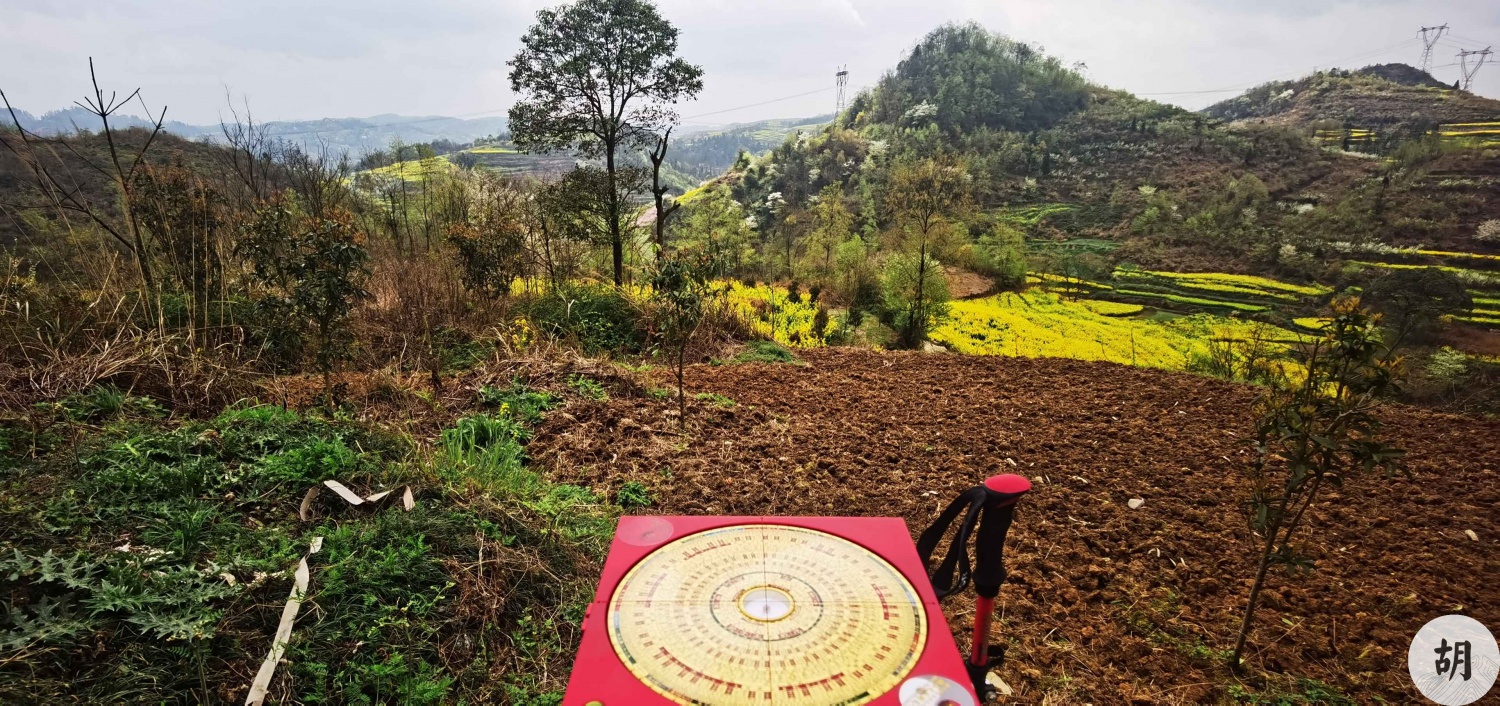 为广东福主在贵州异地点穴，喝形凤凰跳架，出大贵之人